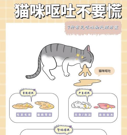 为什么猫吃猫粮总吐呢？这种情况是否正常？