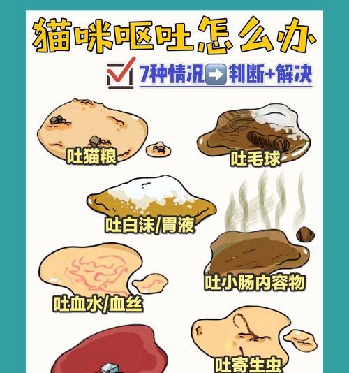 为什么猫吃猫粮总吐呢？这种情况是否正常？