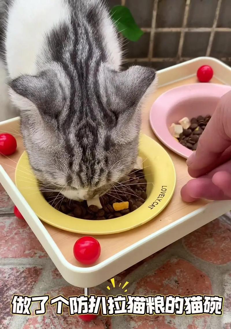 捏碗猫粮的正确捏法是什么？有什么技巧？