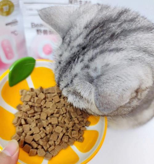 捏碗猫粮的正确捏法是什么？有什么技巧？