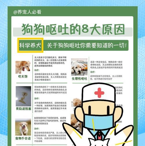 狗吐粮为什么会死？狗吐粮的常见原因是什么？