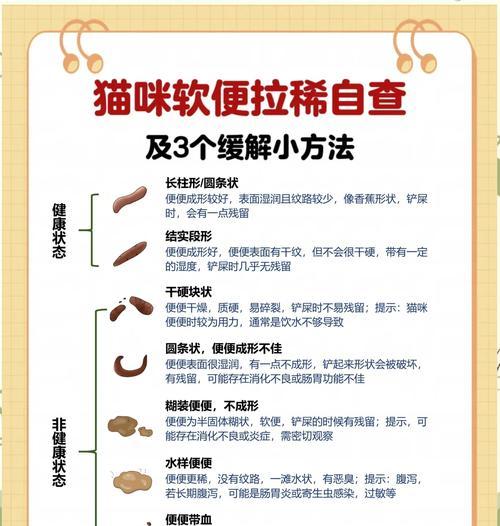 猫吃湿粮罐头后拉稀原因是什么？如何处理？