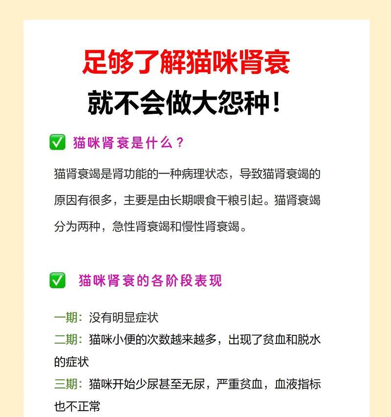 猫湿粮怎么添加成分的呢？自制猫湿粮的正确方法是什么？
