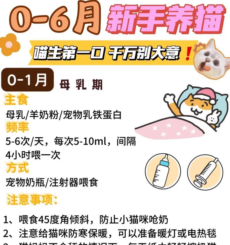 给成猫吃幼猫粮了怎么办？成猫误食幼猫粮的处理方法？