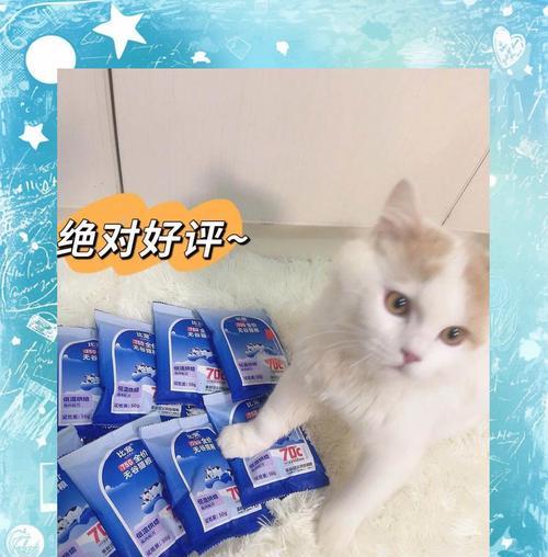 烘焙鲜兔肉猫粮怎么吃？正确的喂食方法是什么？