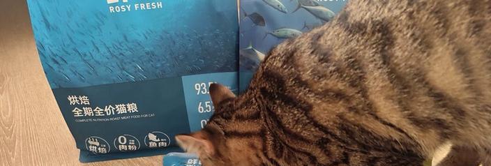 烘焙鲜兔肉猫粮怎么吃？正确的喂食方法是什么？