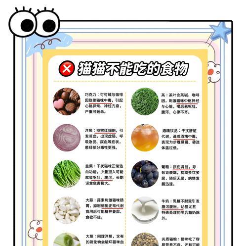 猫咪吃猫粮的优雅方式是什么？如何让猫咪吃猫粮时看起来更可爱？