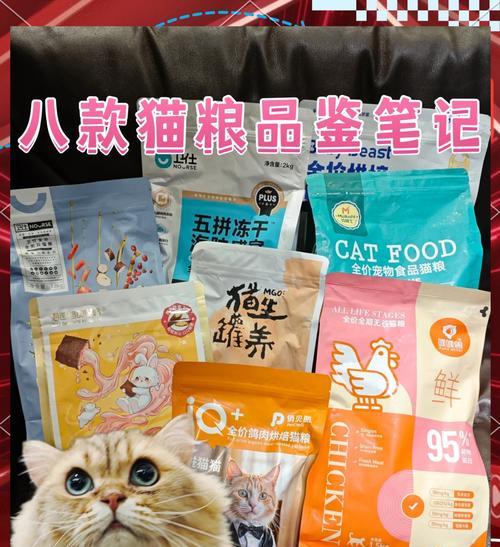 猫舍通常选择哪些主食猫粮？