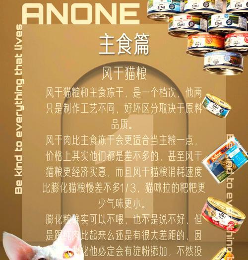 猫舍通常选择哪些主食猫粮？