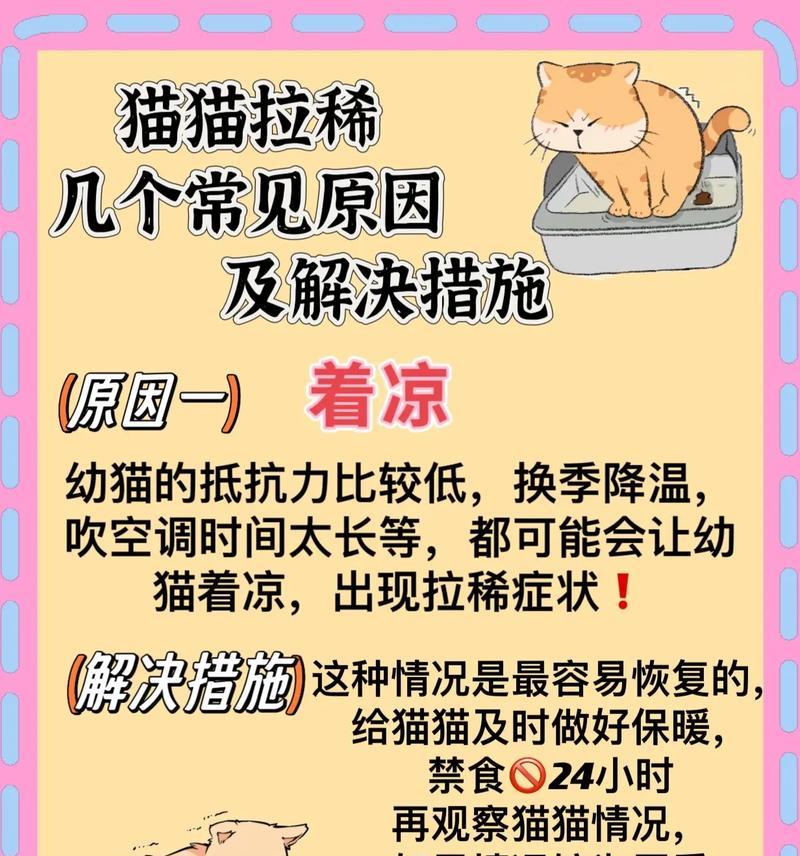 猫咪吃猫粮后拉稀应如何处理？