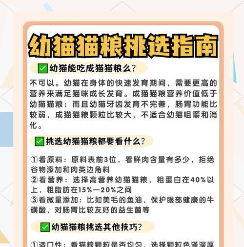 猫街怎么投喂猫粮？有哪些正确的投喂方法？