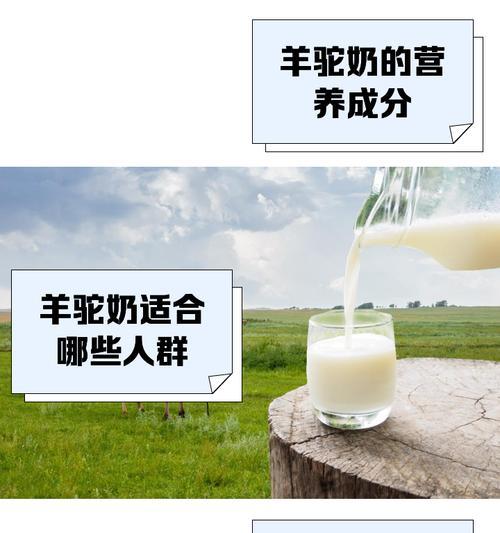 羊驼适合使用哪种净水器？如何选择性价比高的净水器？