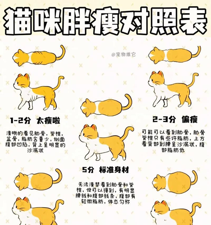 只吃猫粮导致猫咪瘦弱的原因是什么？