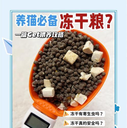 猫粮怎么放冻干保存好呢？冻干猫粮的正确保存方法是什么？