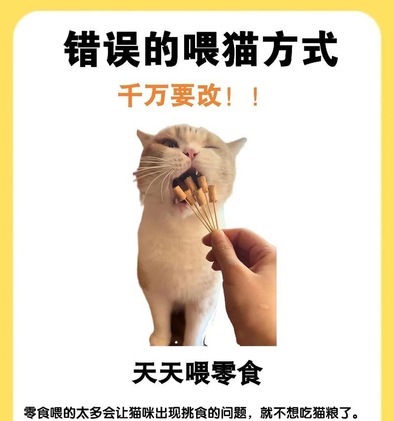 猫咪扒拉碗想吃猫粮怎么办？如何正确喂食？