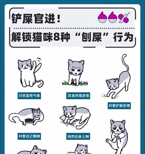 猫为什么会埋自己的粮食不吃猫粮呢啊？这是什么行为？