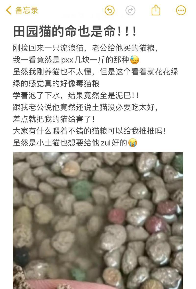 猫为什么会埋自己的粮食不吃猫粮呢啊？这是什么行为？
