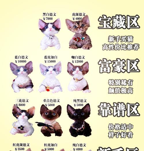 德文怎么选择猫粮品牌？有哪些标准？