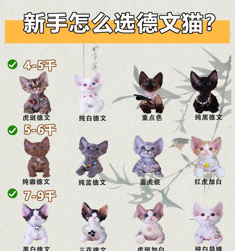 德文怎么选择猫粮品牌？有哪些标准？