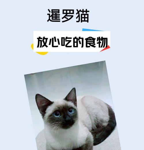 暹罗猫吃猫粮后打喷嚏应如何应对？
