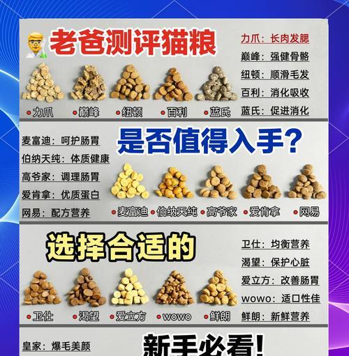 老年猫应该选择哪种猫粮？