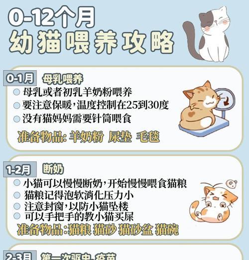 孩子如何正确给猫喂鱼粮？喂食时应注意什么？