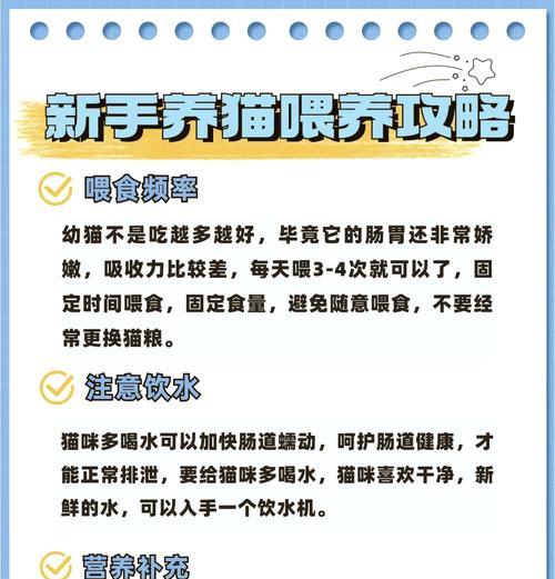 孩子如何正确给猫喂鱼粮？喂食时应注意什么？