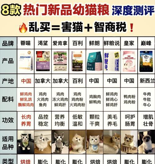 如何为幼猫挑选既美味又经济的猫粮？