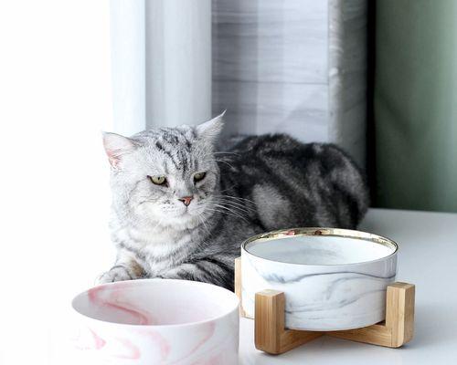 猫粮碗的正确使用方式是什么？