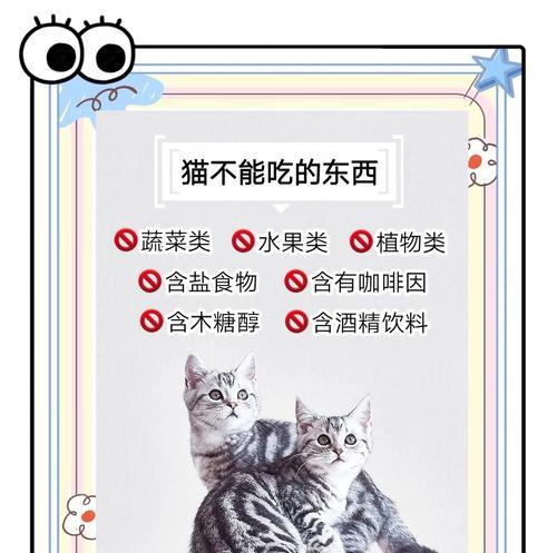 猫只吃饭不吃猫粮会有哪些影响？