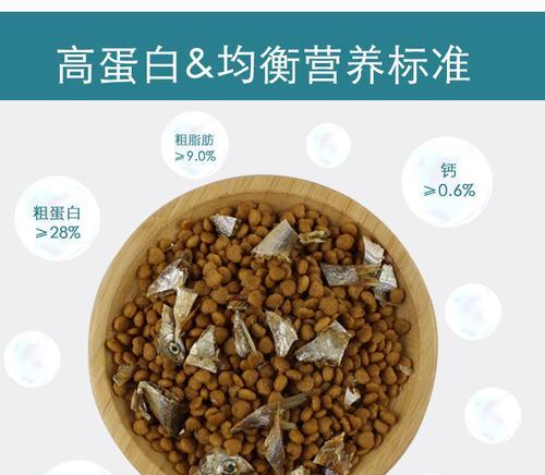 蓝猫英短适用的通用猫粮及其喂养方法？
