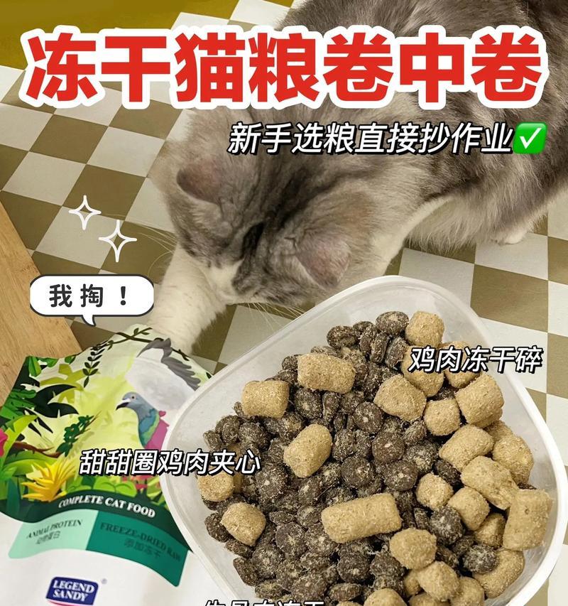 蓝猫英短适用的通用猫粮及其喂养方法？