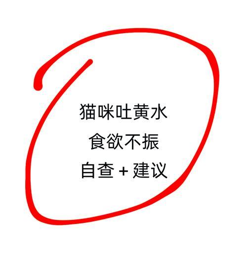 猫吃猫草吐黄水和猫粮怎么回事？猫草和猫粮的混合对猫有什么影响？