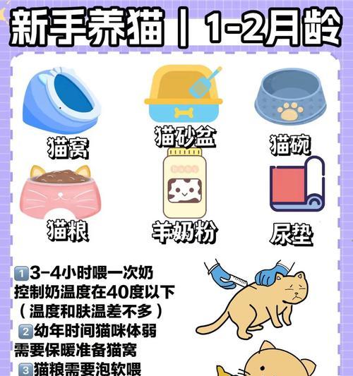 新猫到家如何让它适应新猫粮？