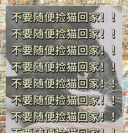回家忘记给猫放猫粮会怎么样？猫会饿吗？