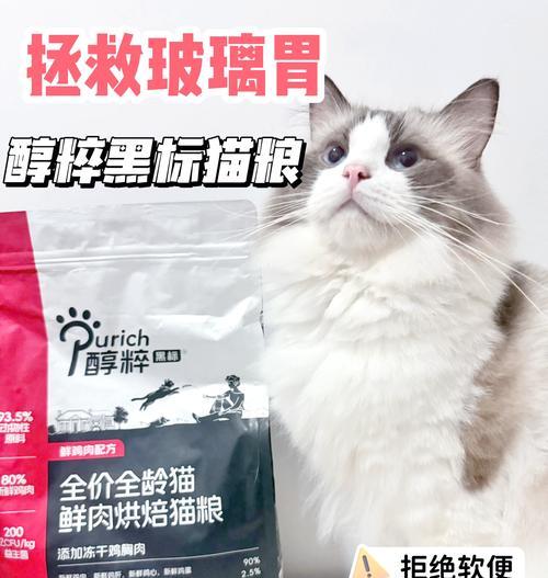 回家忘记给猫放猫粮会怎么样？猫会饿吗？
