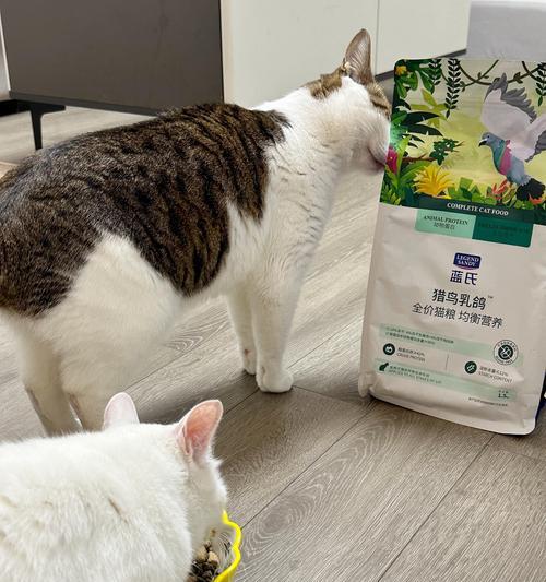 回家忘记给猫放猫粮会怎么样？猫会饿吗？
