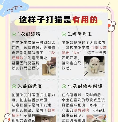 猫喜欢跳桌子偷吃猫粮怎么办？有效防止猫咪跳桌的方法有哪些？