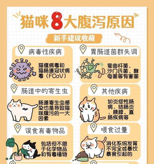 更换猫粮后猫咪拉肚子是什么原因？如何解决？