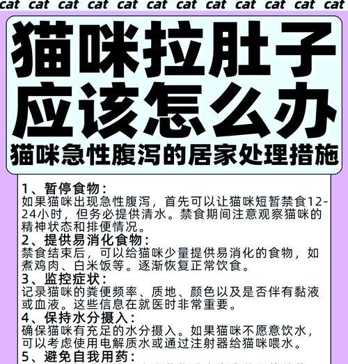 更换猫粮后猫咪拉肚子是什么原因？如何解决？