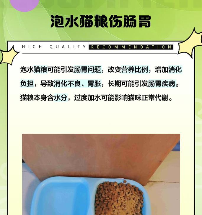 猫粮泡水后变成湿粮了吗？