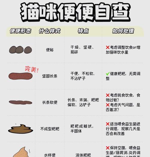 猫咪消化不良时应选择什么食物？如何改善猫咪的消化问题？