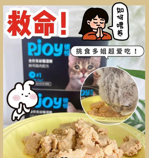 猫粮应该湿粮吗为什么呢？湿粮和干粮有什么区别？