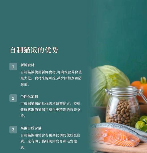 自制猫粮蒸煮时间如何掌握？