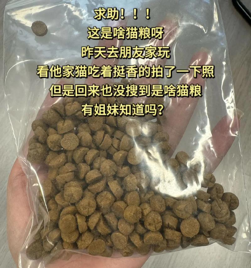 家猫食用猫粮后有何反应？是否表现出不适？