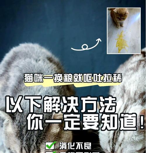 给猫留粮少了会有什么影响？