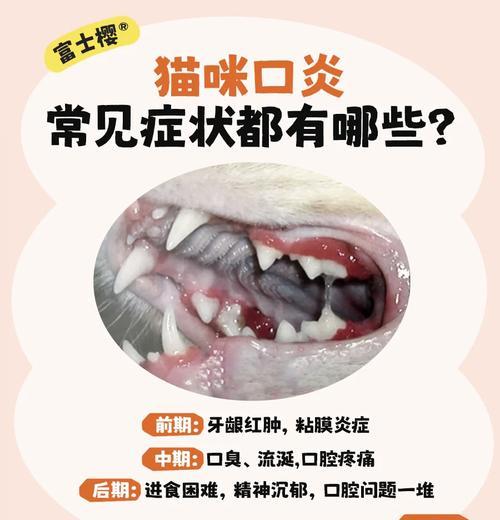 猫咪口炎只吃猫粮能好吗？需要配合什么药物治疗？