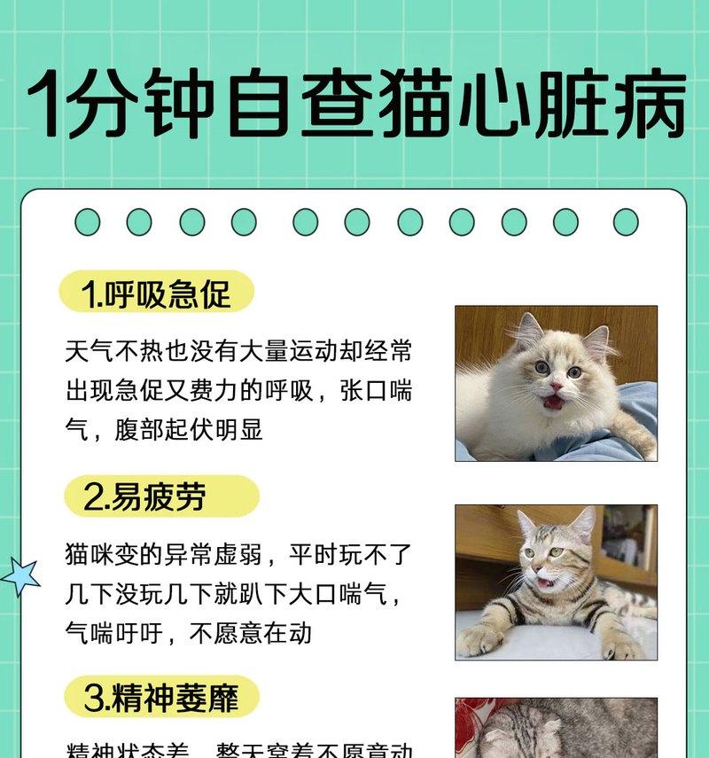 人吃了猫粮后为什么心脏胀胀的？有哪些健康风险？