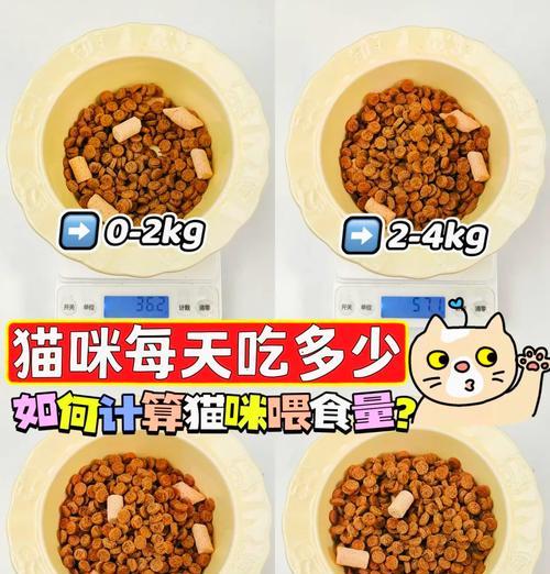 猫咪吃太多猫粮会有什么后果？如何控制食量？