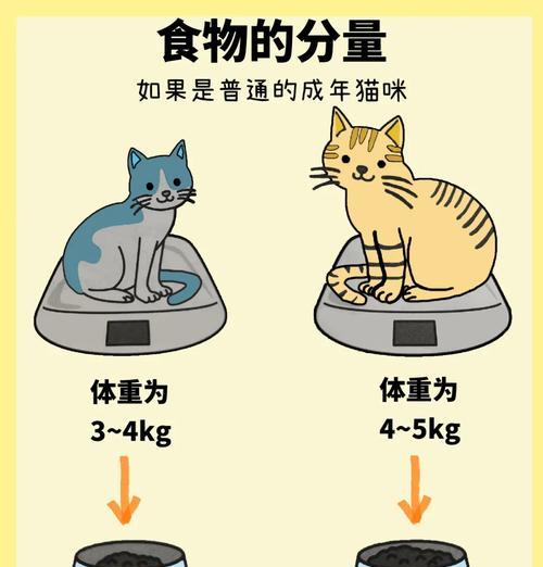 猫咪吃太多猫粮会有什么后果？如何控制食量？